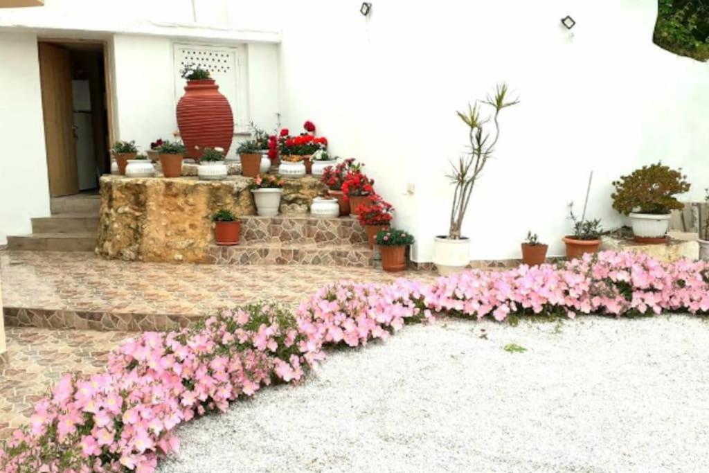 Newly Reconstructed Flat 107Sqm! Apartment Chania  Exterior photo